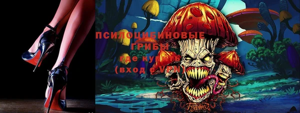тгк Новодвинск